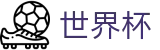 2026国际足联世界杯 · 一站式体育赛事覆盖